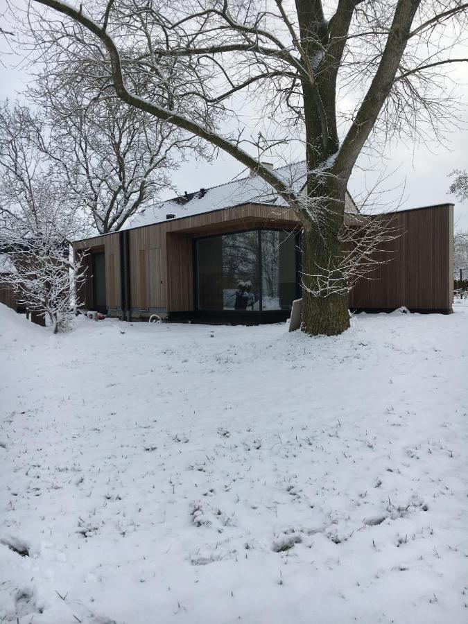 B&B Nyte Drongen Exterior foto